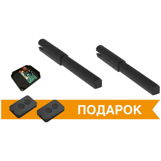 Комплект привода DoorHan SW-5000PRO-BASE c 2-мя пультами